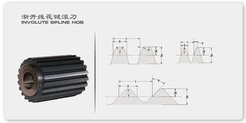 漸開(kāi)線(xiàn)花鍵滾刀基本形式與尺寸